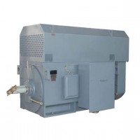 AC-Motoren 符合 IEC 或 NEMA 标准的异步电机