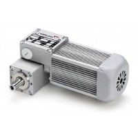 Mini Motor BCE2000蜗轮减速电机