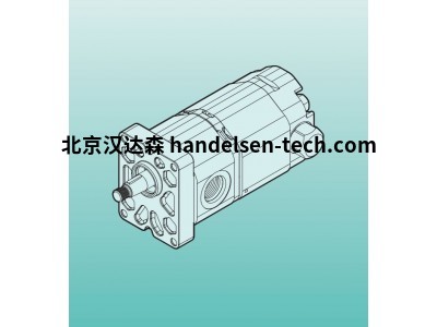 意大利多齿轮泵marzocchi pompe HI-LO系列