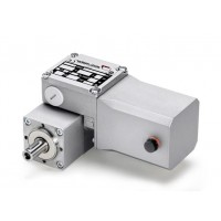 mini motor  BC2000 12-24MP带永磁体的蜗轮蜗杆电机