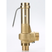 意大利 Nuova G20/L 系列弹簧式自动复位安全阀 意大利 Nuova G20/L 系列弹簧式自动复位安全阀