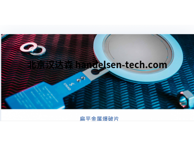 德国striko爆破片SF-MV型扁平金属型