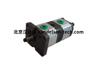西班牙Roquet 1GLD56C-15CDE10R ASP型润滑泵