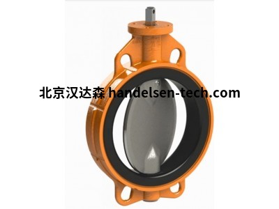 荷兰WOUTER WITZEL蝶阀EVTLS系列全系列供应