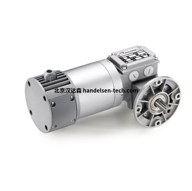 意大利Mini Motor微型DBS无刷伺服电机