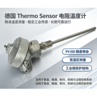 德国 Thermo Sensor  2159-1-105/6645212型插入式电阻温度计