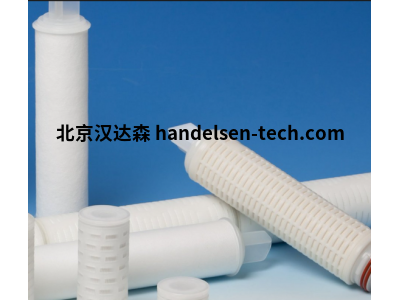 比利时 Masterfilter  SLF-T002系列疏水性聚四氟乙烯膜滤芯